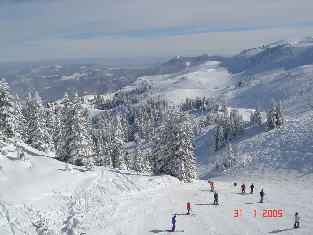 Bed And Breakfast Vila Lala Jahorina Exterior photo