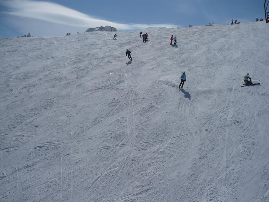 Bed And Breakfast Vila Lala Jahorina Exterior photo